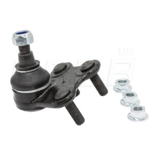 Rotula inferior Izquierda